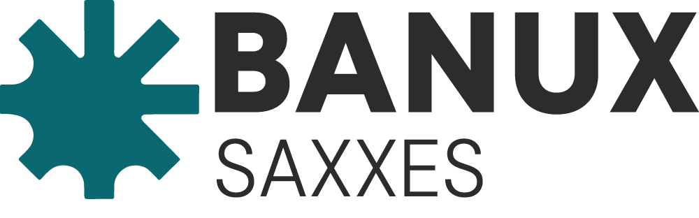 Saxxes
